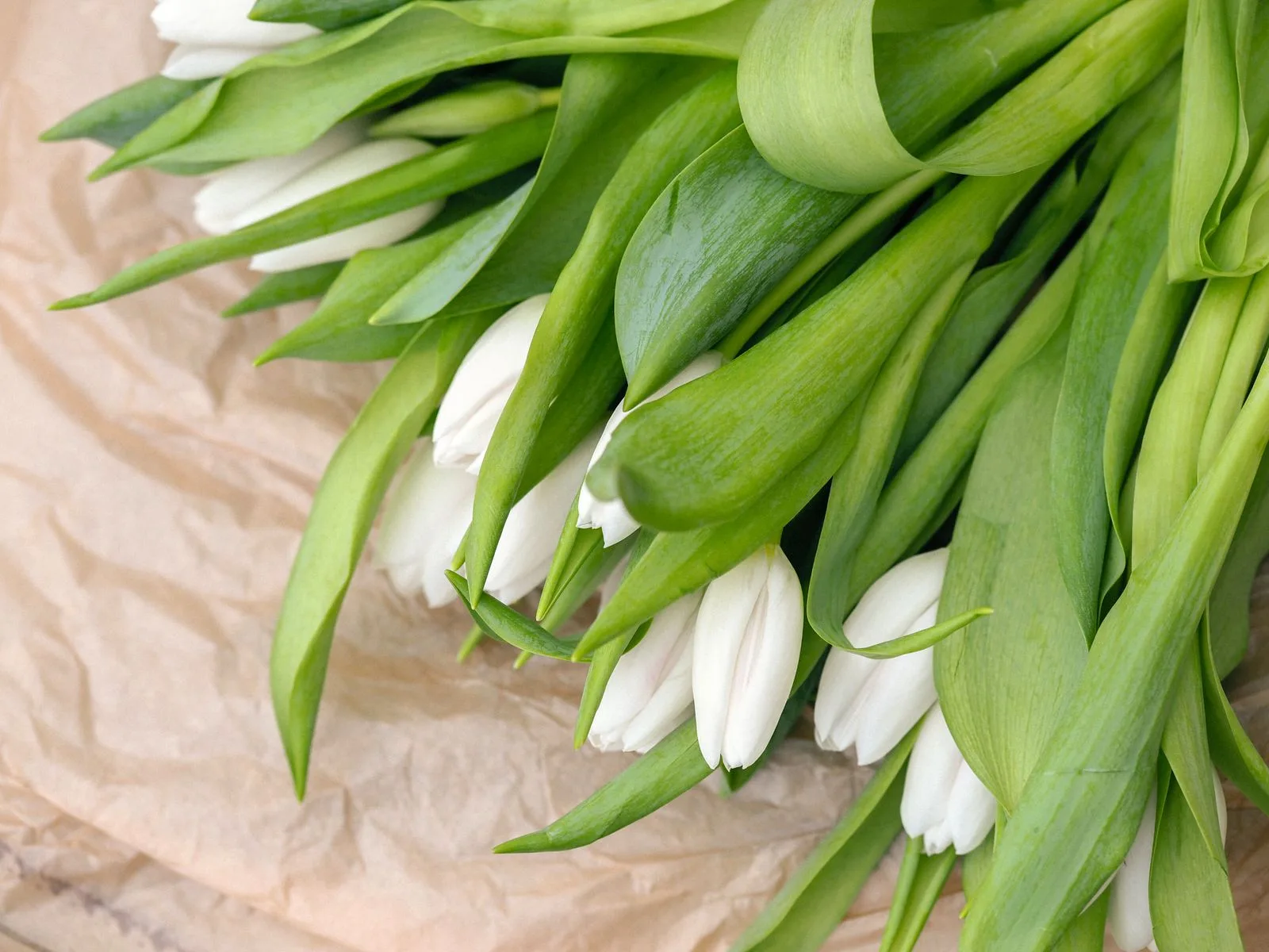 Spring flowers